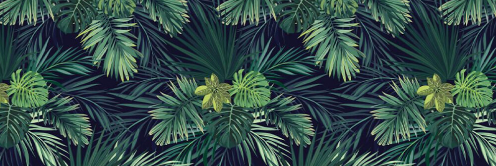 papier peint vert papier peint vert