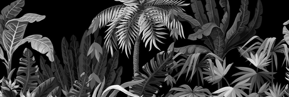 JUNGLE EN NOIR ET BLANC JUNGLE EN NOIR ET BLANC