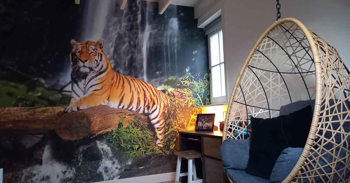 Papier Peint Panoramique Tigres & lions Papier Peint Panoramique Tigres & lions