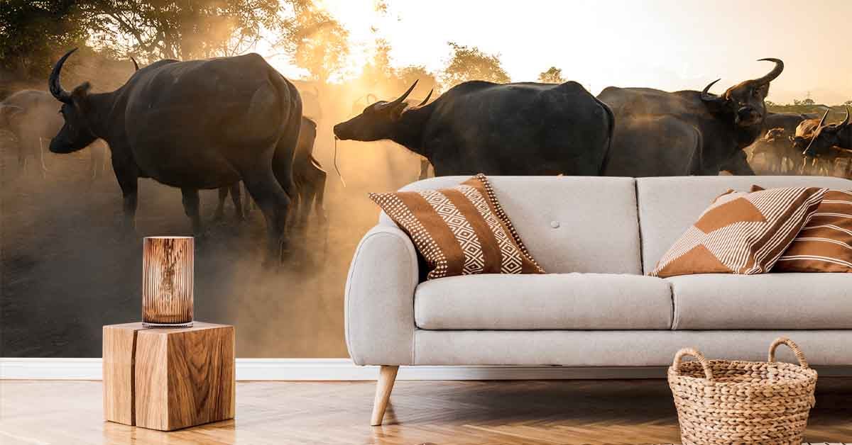 Papier peint bison