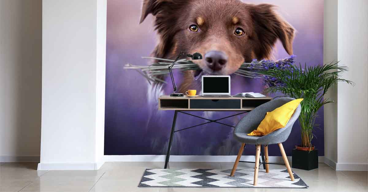 Papier Peint chien