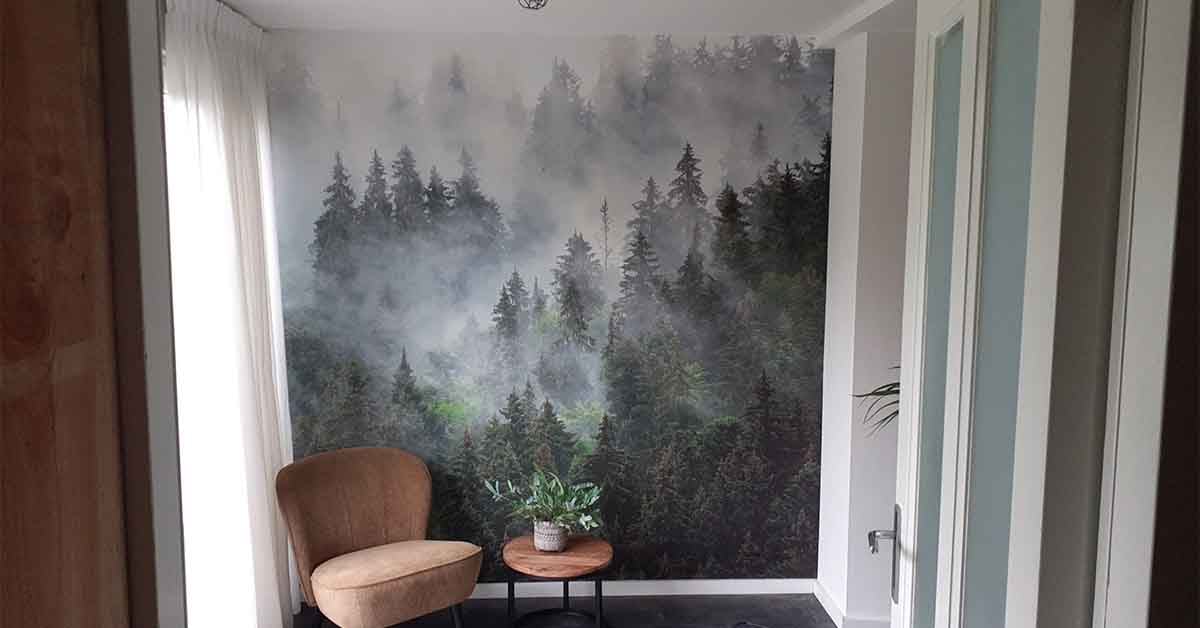 Papier Peint Forêt