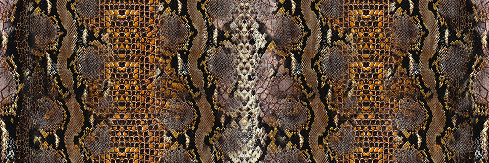 Serpents papier peint panoramique