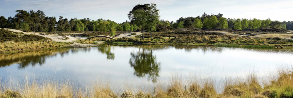 Wallexclusive Premium Paysage Wallexclusive Premium Paysage