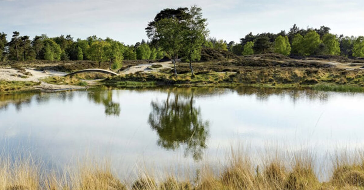 Wallexclusive Premium Paysage