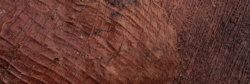 Wallexclusive Premium Textures Wallexclusive Premium Textures