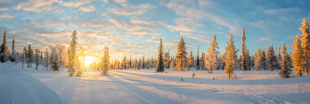 Papier Peint Panoramique de paysage hivernal
