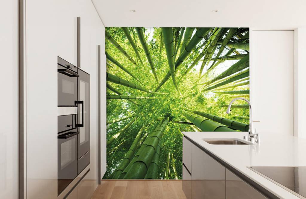 Papier peint de la forêt - Bambou - Couloir 4