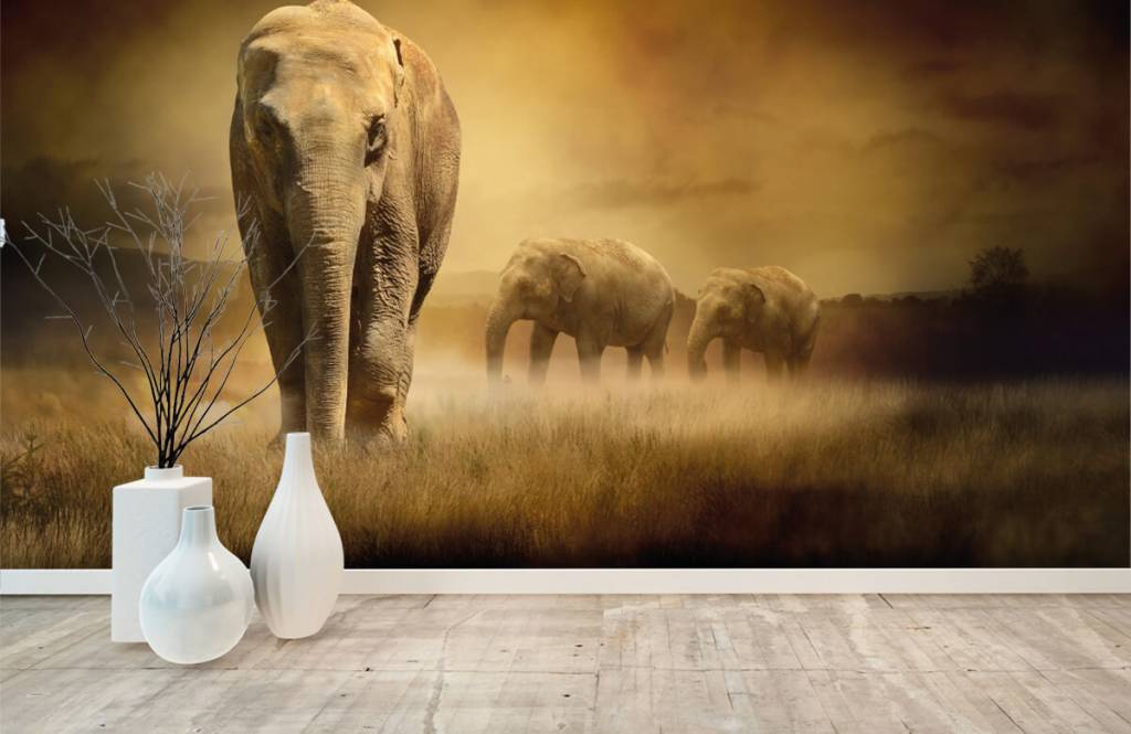 Animals - Trois éléphants - Chambre d'adolescent 3