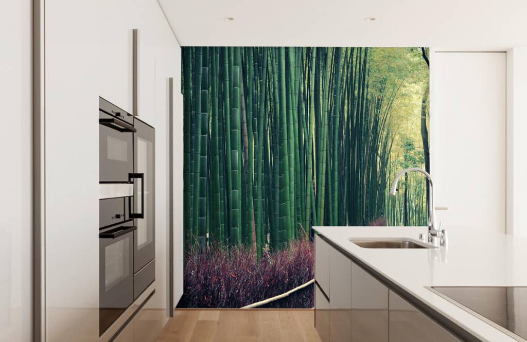 Papier peint de la forêt - Forêt de bambous - Hall d'entrée 3