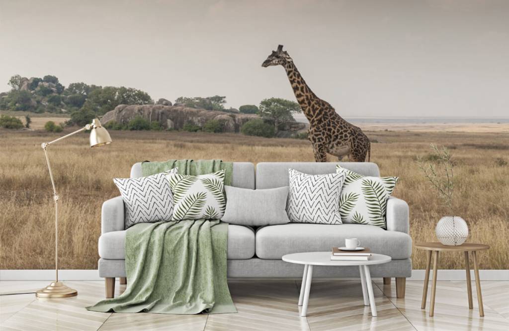 Animals - Girafe dans la savane - Chambre à coucher 3
