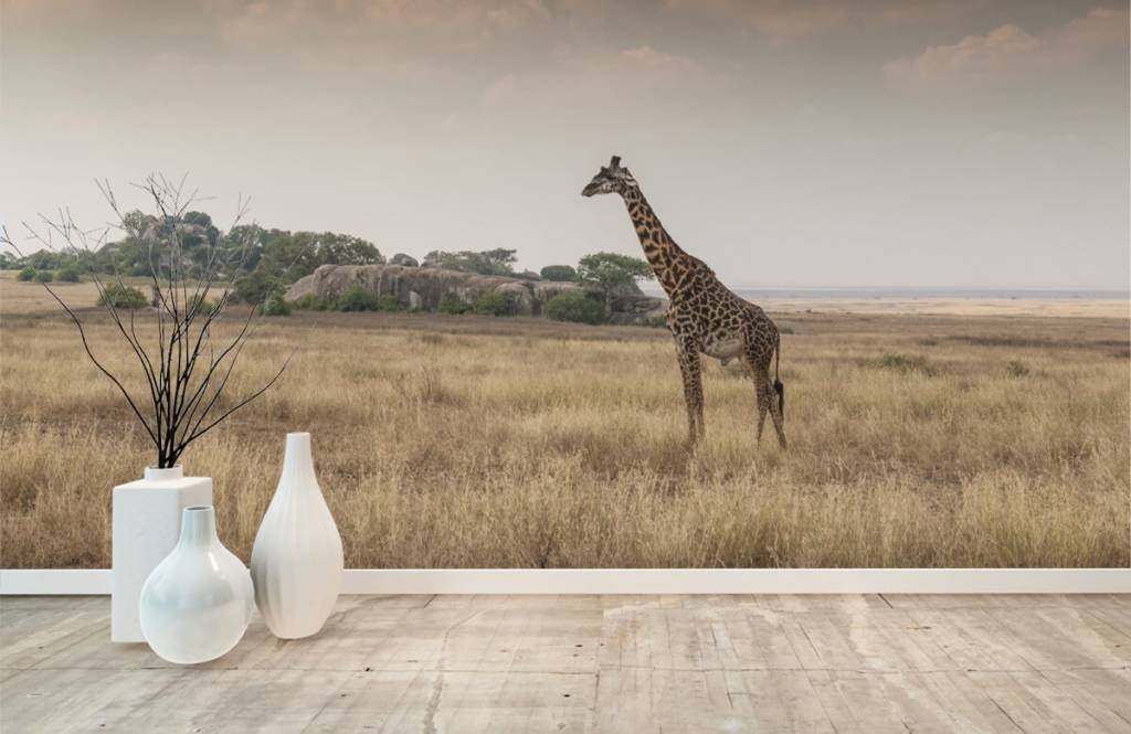 Animals - Girafe dans la savane - Chambre à coucher 4