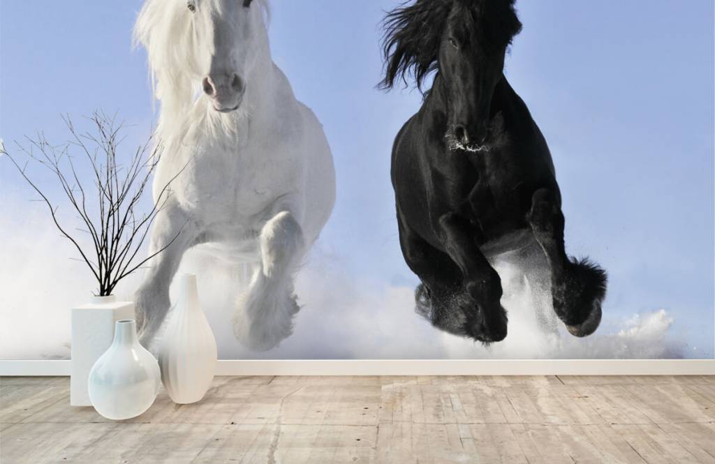 Horses - Cheval blanc et noir - Chambre d'adolescent 1