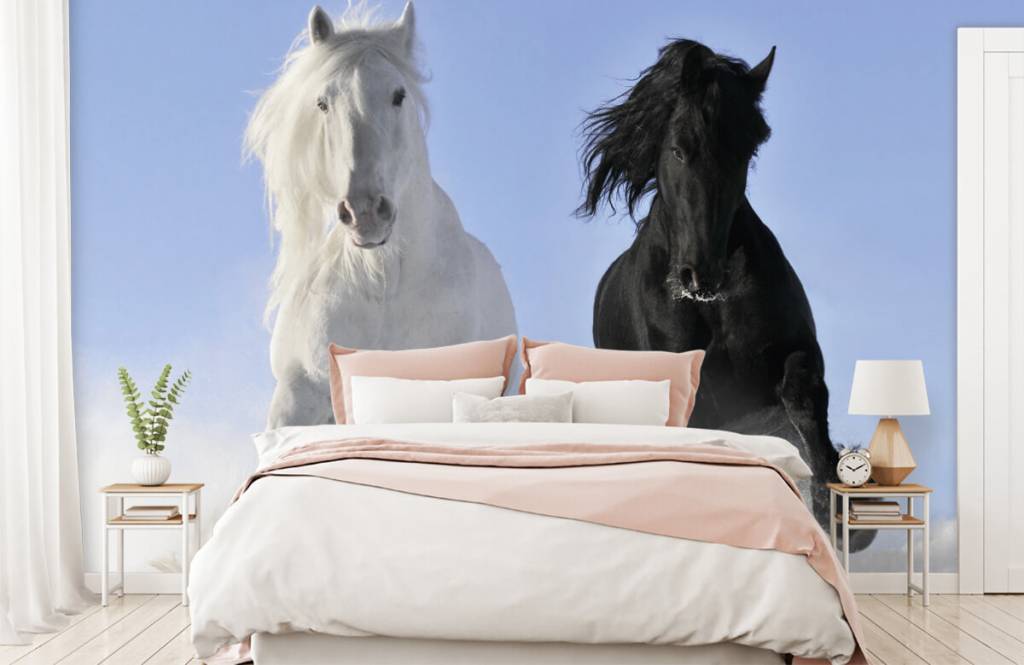 Horses - Cheval blanc et noir - Chambre d'adolescent 2