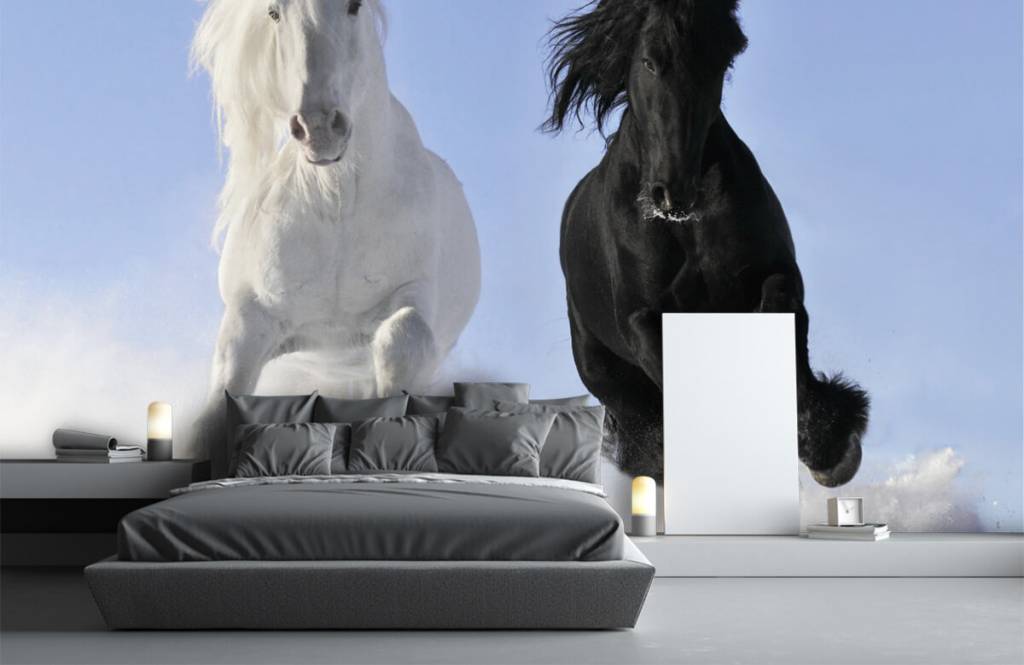 Horses - Cheval blanc et noir - Chambre d'adolescent 3