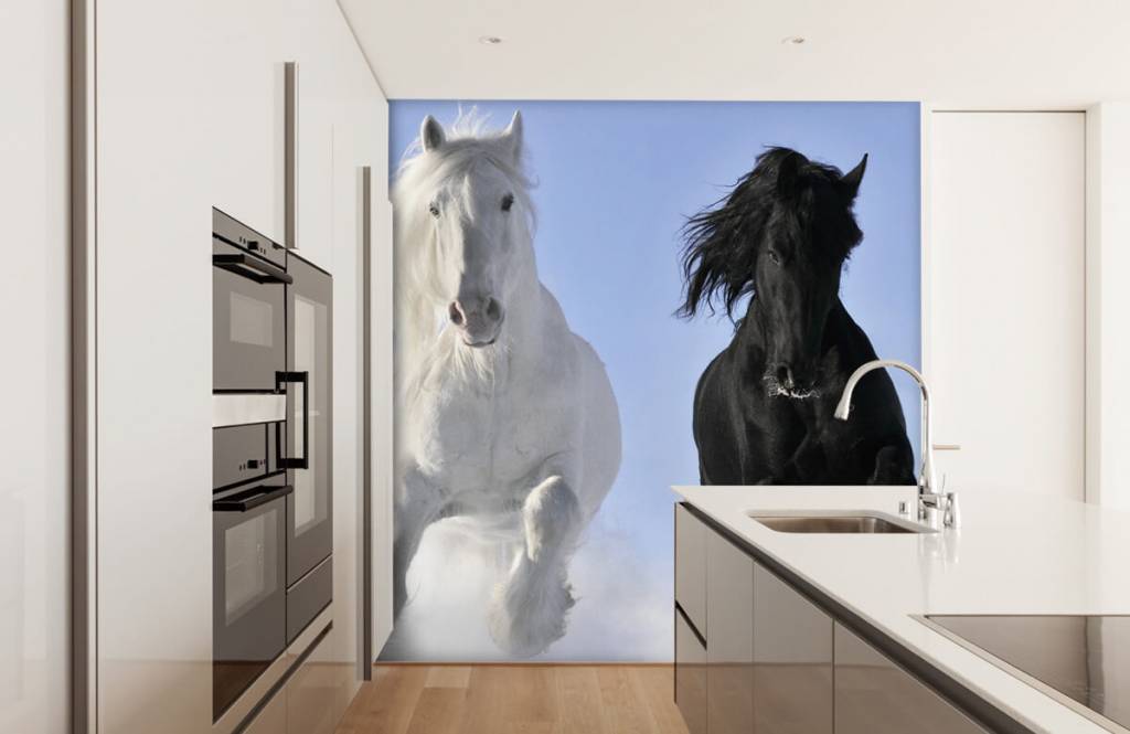 Horses - Cheval blanc et noir - Chambre d'adolescent 4