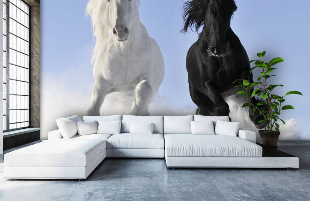 Horses - Cheval blanc et noir - Chambre d'adolescent 6