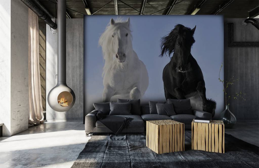 Horses - Cheval blanc et noir - Chambre d'adolescent 7