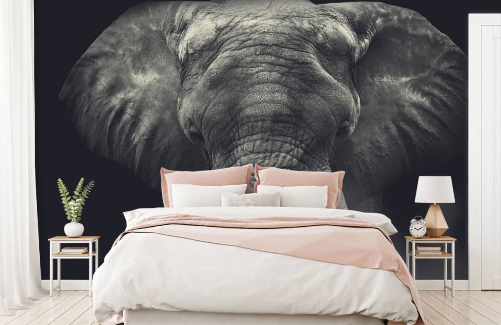 Elephants - Gros plan sur un éléphant - Chambre à coucher 2