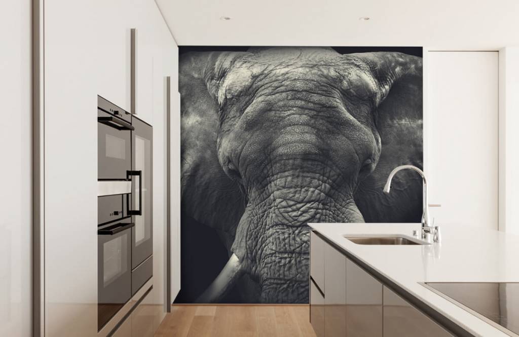 Elephants - Gros plan sur un éléphant - Chambre à coucher 3