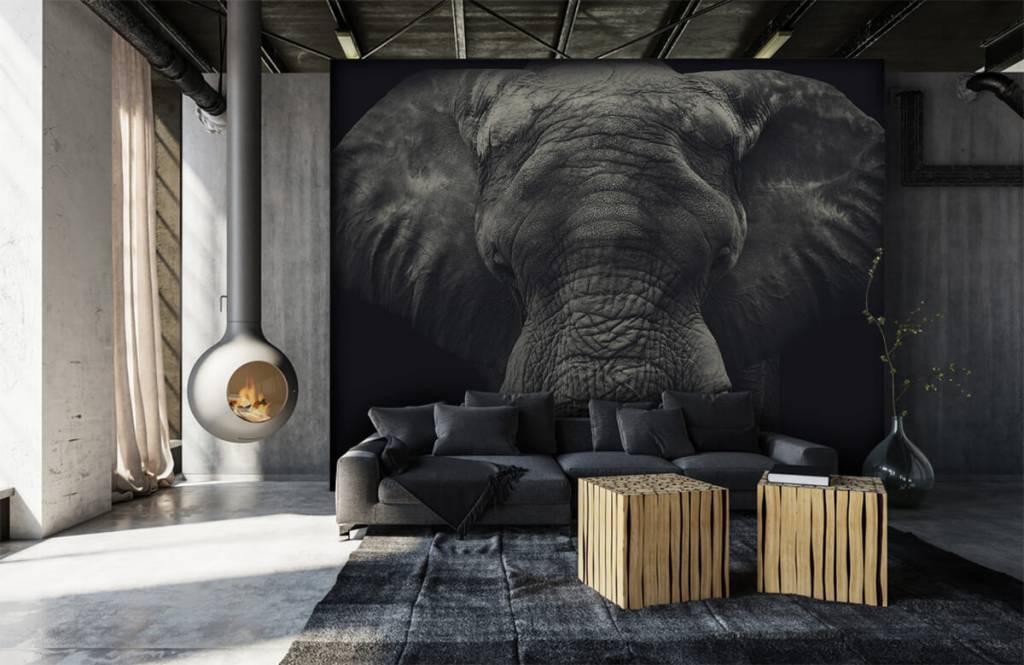 Elephants - Gros plan sur un éléphant - Chambre à coucher 6