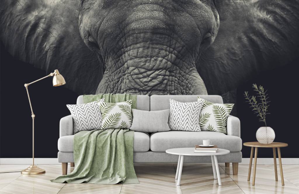 Elephants - Gros plan sur un éléphant - Chambre à coucher 7