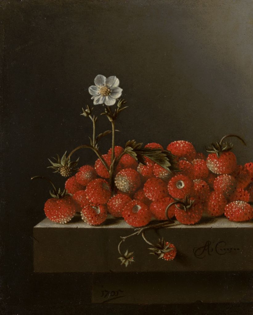 Nature morte aux fraises des bois