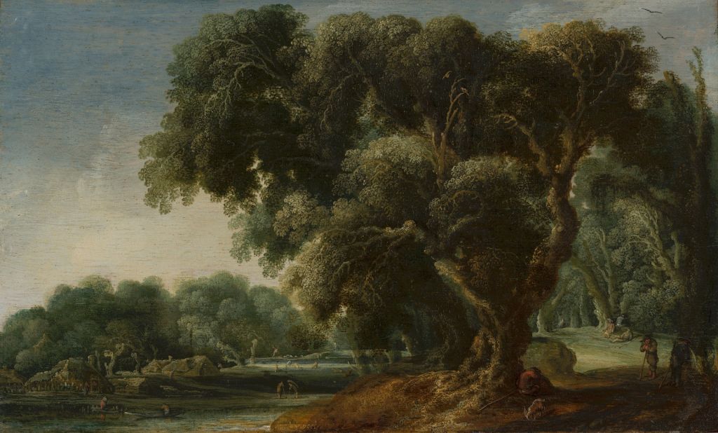 Paysage forestier imaginé