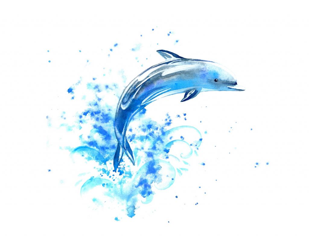 Dauphin sauteur
