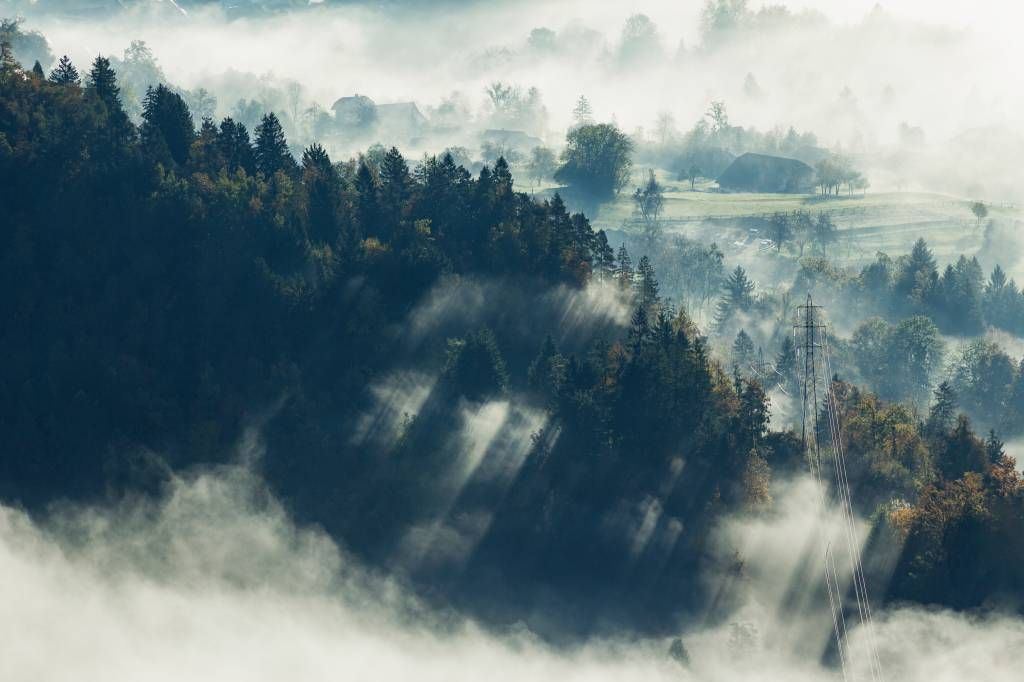 Paysage brumeux