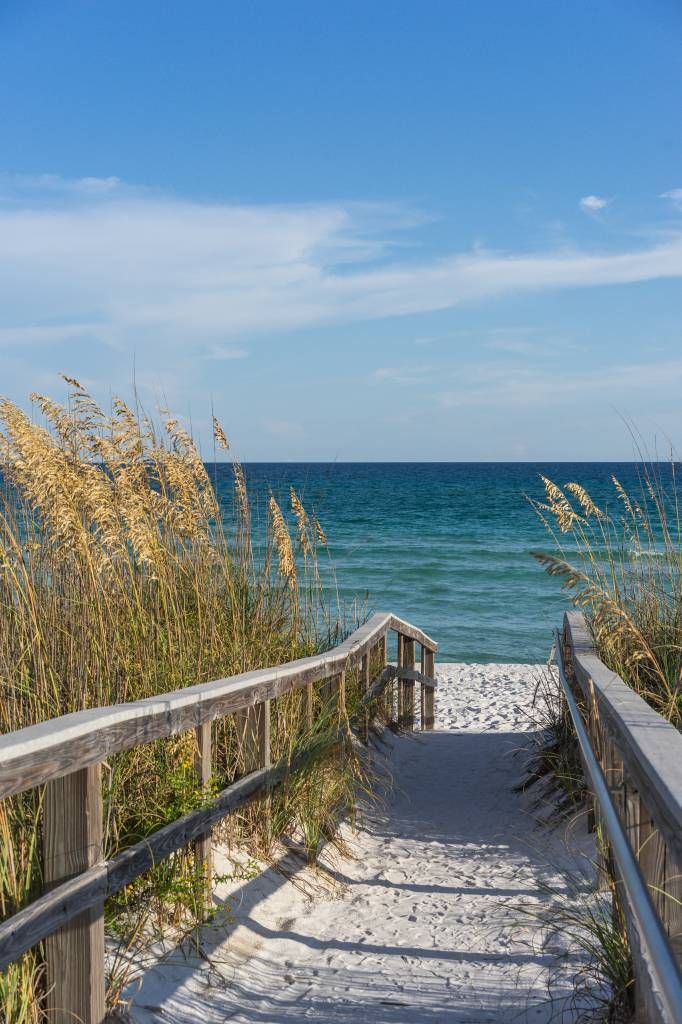 Sentier de plage