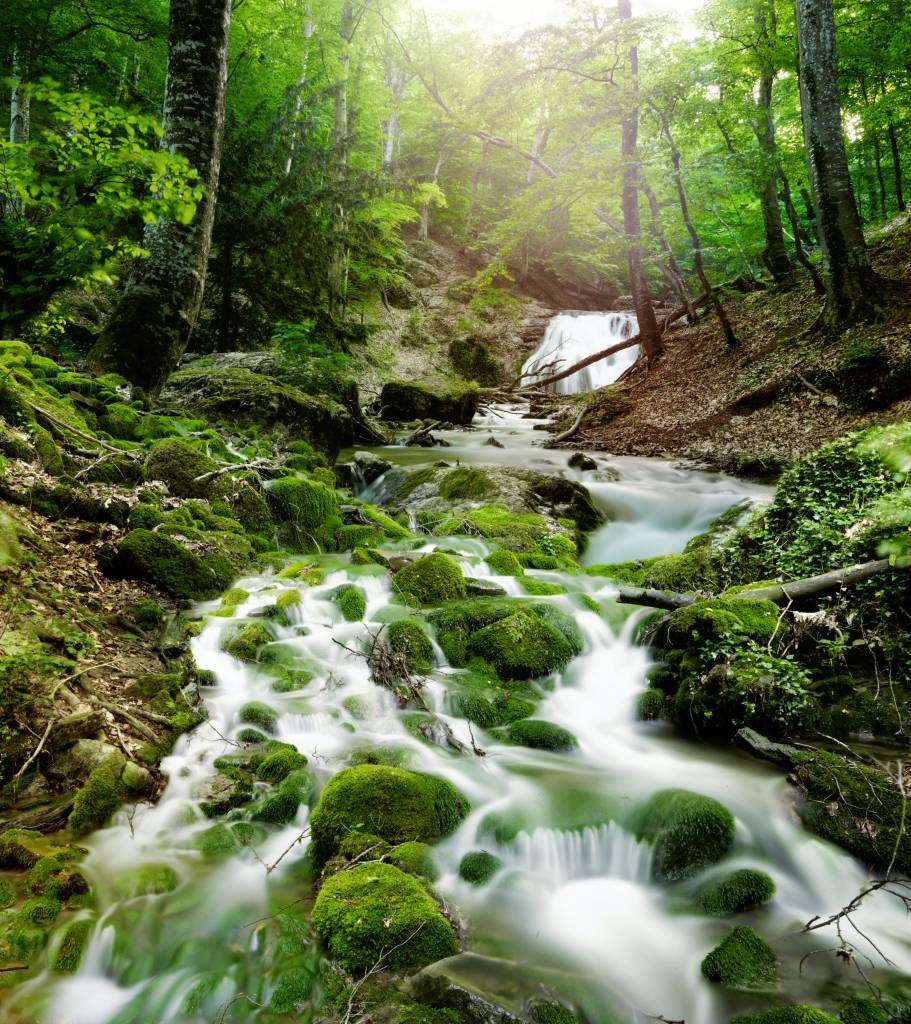 Chute d'eau dans la jungle