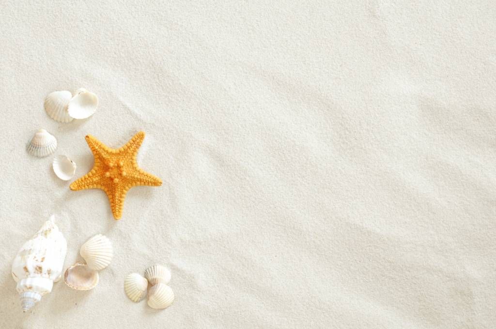 Étoile de mer sur sable blanc