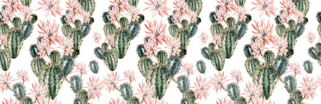 Cacti aux fleurs