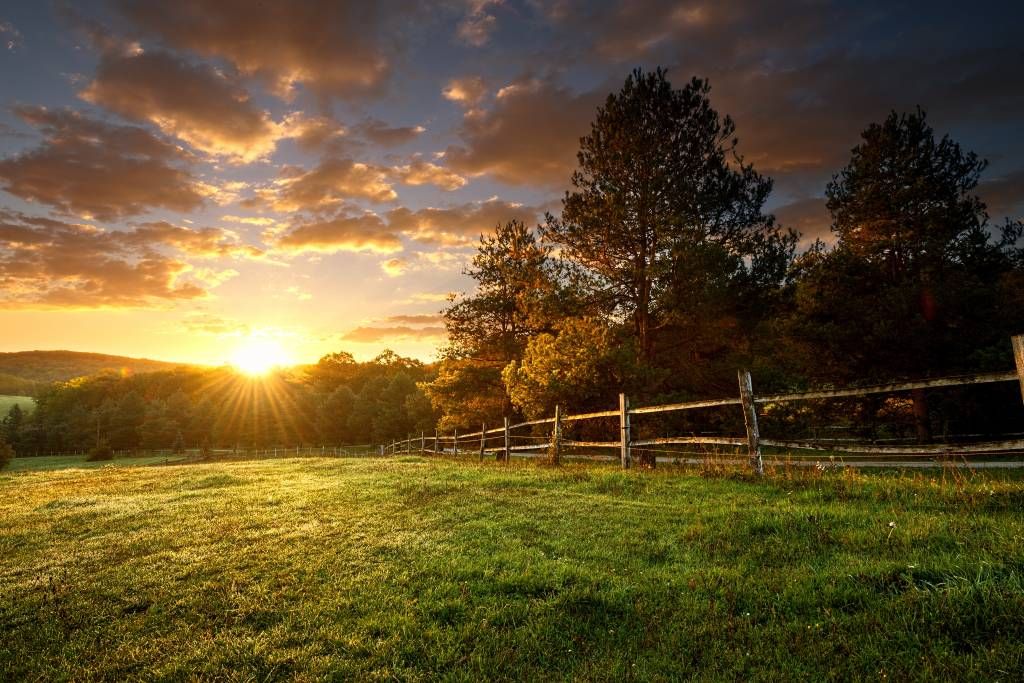 Pâturage au coucher du soleil