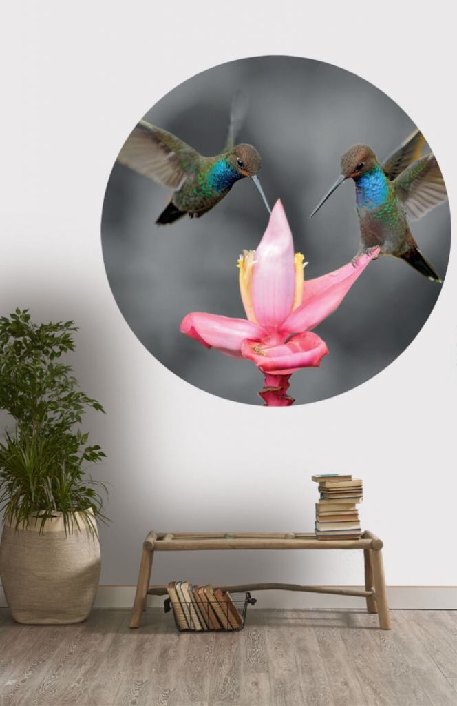 Cercle de papier peint Colibris