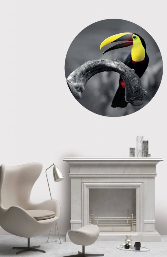 Cercle de papier peint Toucan