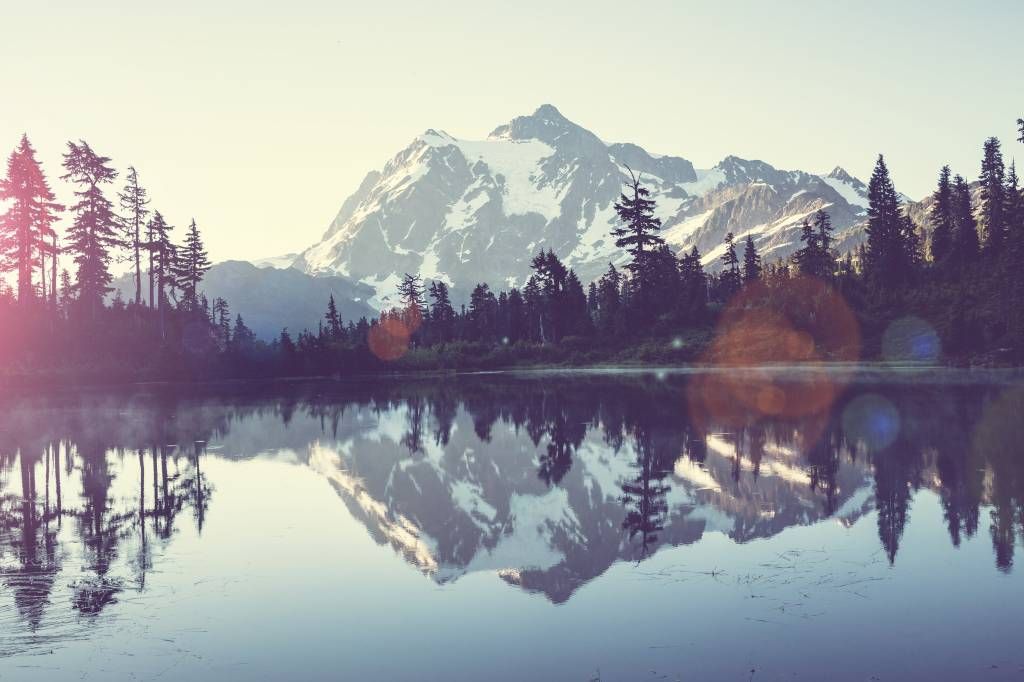 Lac de montagne avec forêt