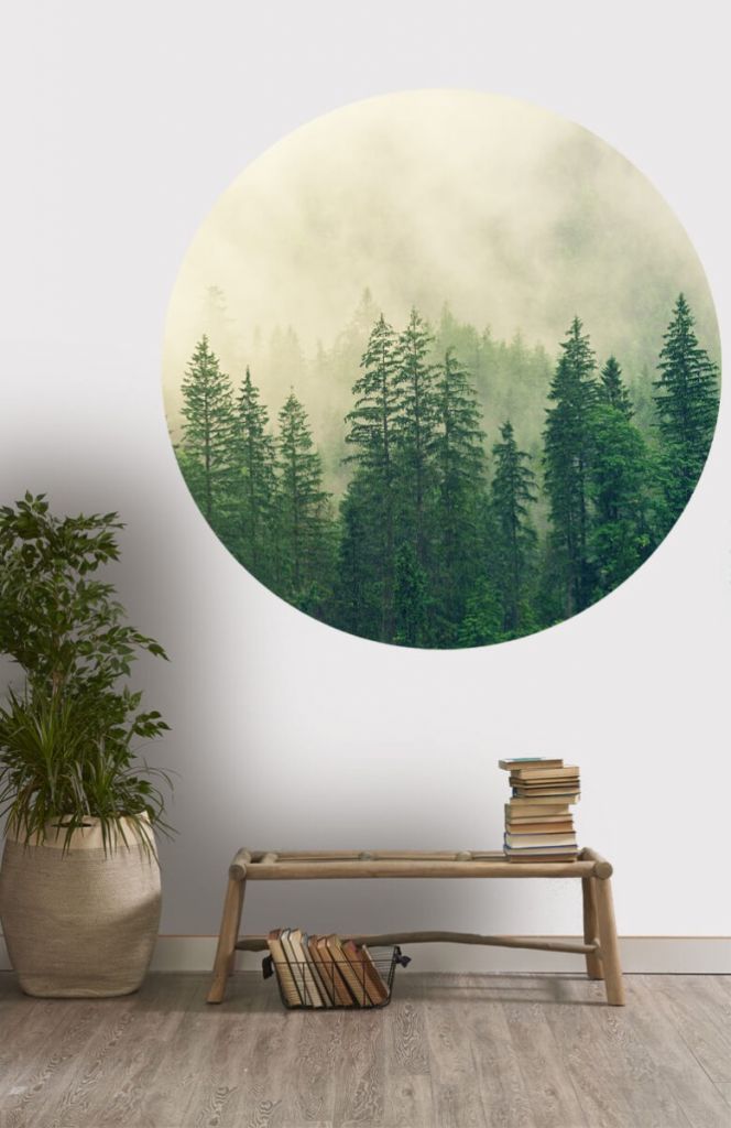 Cercle de papier peint avec des pins et du brouillard