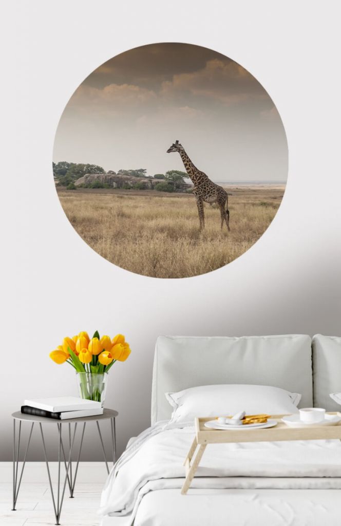 Cercle de papier peint girafe sur savane