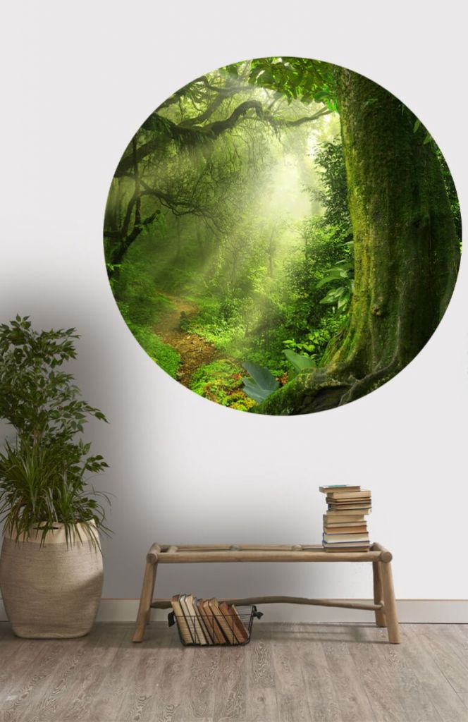 Cercle de papier peint jungle soleil