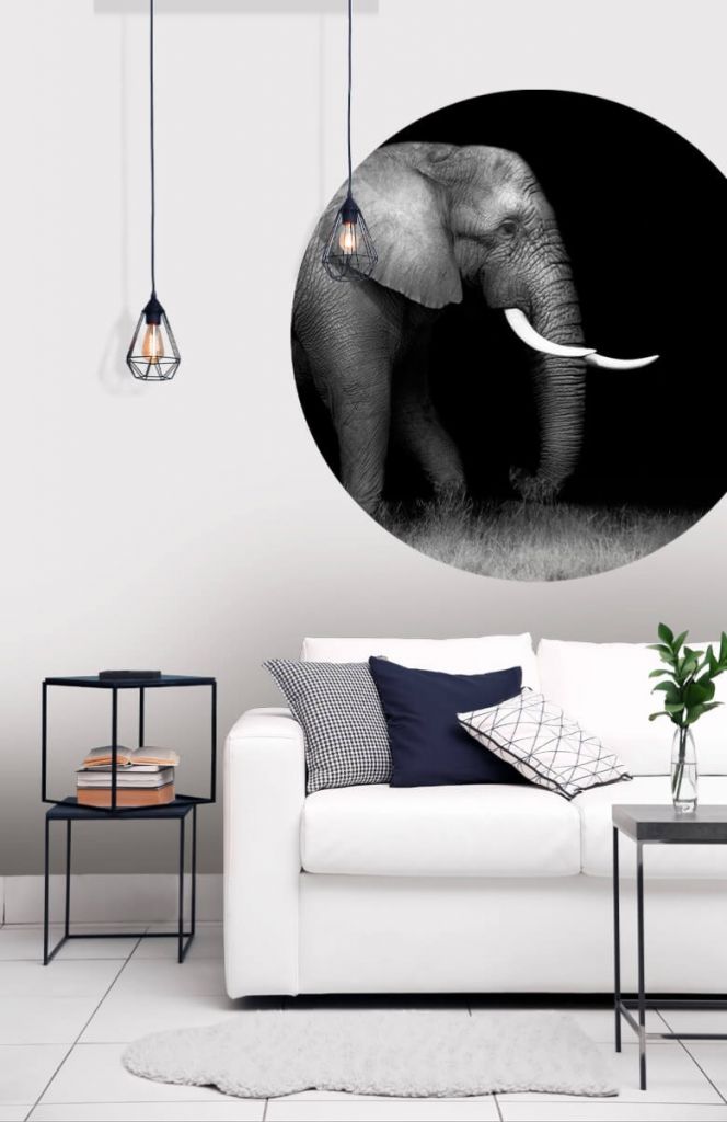Cercle de papier peint Eléphant sur herbe