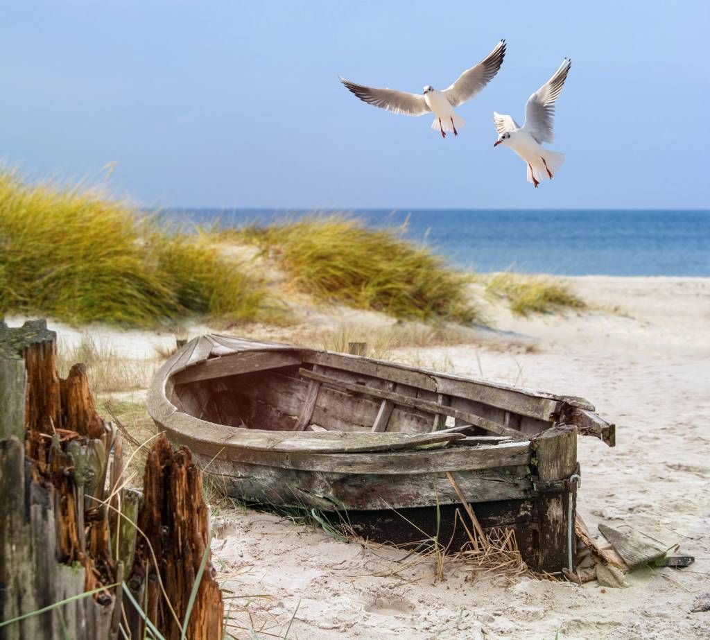 Ancien bateau de pêche, mouettes, plage et mer