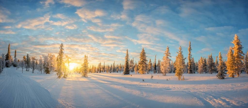 Paysage de neige au coucher du soleil