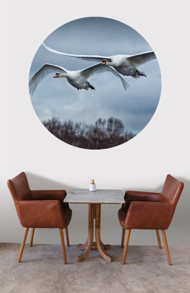 Cercle de papier peint Cygnes volants