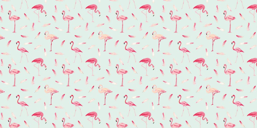 Flamants roses