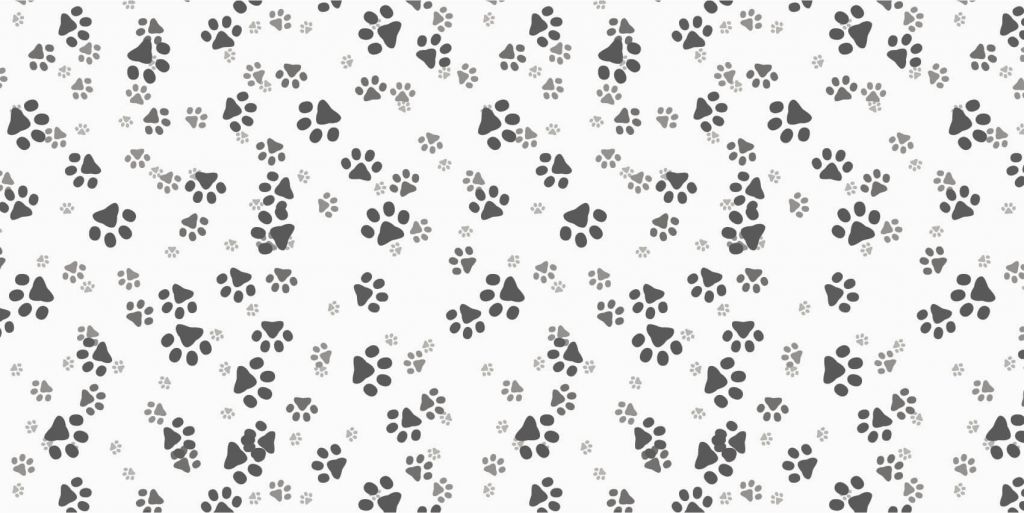 Jambes de chien