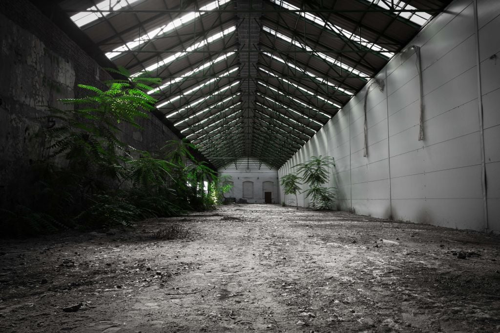 Hall industriel avec des plantes