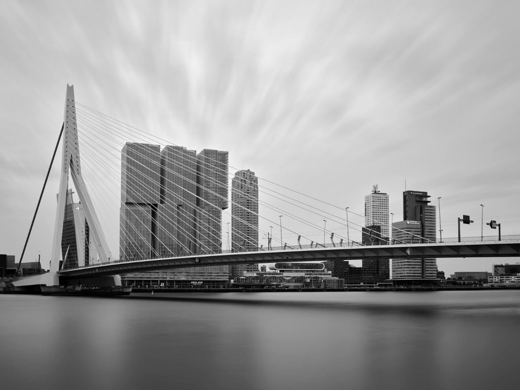 Pont Erasmus noir et blanc