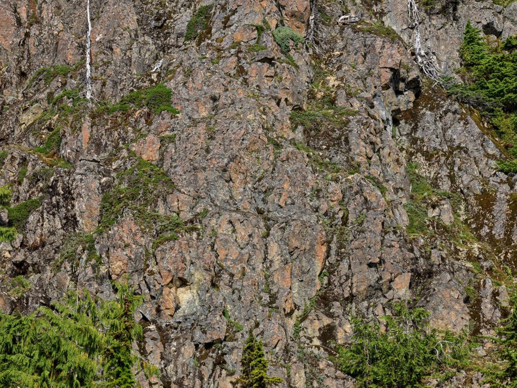 Roches avec arbres